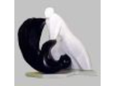 Illustration du partenaire Aikido Saint Joseph La REUNION