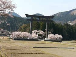 mini_voyage-japon-5cbc3d91d71c5.jpg